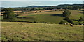 Farmland near Dunchideock