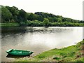 NT8845 : River Tweed near Kippie Island by Andrew Curtis