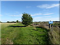 Walking back to Mangapps Railway Museum