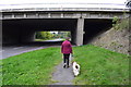 M1 motorway bridge.