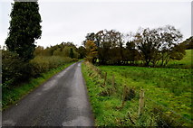H3478 : Envagh Road, Envagh by Kenneth  Allen