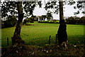 Trees and countryside, Envagh