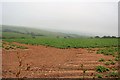 Field of vegetables