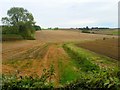 South Herefordshire countryside