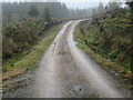 NH4198 : Looking east along forest track in Cnoc nan Con plantation above Strathoykel by ian shiell
