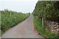 Road from Thurlestone Sand