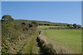 Bridleway to Eggardon Hill