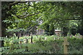 Graveyard, Church of St Peter