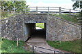 Underpass from Cefn-Mynog Farm