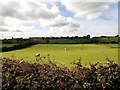 Grazing land on the West side of Liscalgot Road