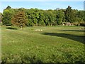 Field beside Warwick Road