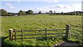 Field near Duns