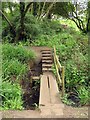 Footbridge over Lye Brook