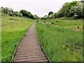 The raised path through Lye Valley Nature Reserve