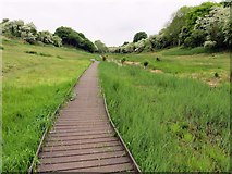 SP5405 : The raised path through Lye Valley Nature Reserve by Steve Daniels