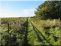 ND2161 : Track near Brabster West ruin by Watten, Caithness by ian shiell