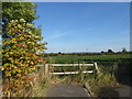 Fields east of Saxilby