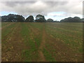 Footpath north of Crawford Farm