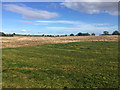 Harvested field near White House Farm