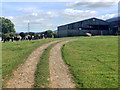 Cattle and barns, Sydal Lodge