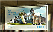 J3474 : "Bigdog" poster, Belfast (October 2018) by Albert Bridge