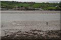 Teign Estuary