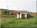 Old railway wagons near Hirwaun