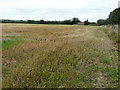 Farmland, Gore Lane