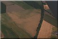 Crop marks in fields north of Tattershall and east of River Witham: aerial 2018 (3)