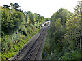 Railway south of Park Road, East Grinstead