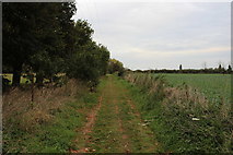 TL5503 : Essex Way on the Eastern Side of Chipping Ongar by Chris Heaton