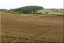 SP6562 : Ploughed field on the way to Little Brington by Philip Jeffrey