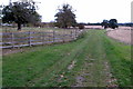 Footpath to Chinkwell Spinney