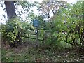 Peak & Northern Footpaths Society sign #36