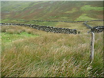 NY4314 : Post in the middle of the complex sheepfold, Ramps Gill by Christine Johnstone