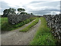 NY5715 : Track heading south, east of Shap by Christine Johnstone