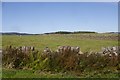 Fields, Gilmerston