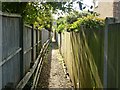 Narrow footpath with high fences