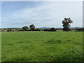 View to The Wrekin from near Longden Common