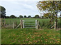 Gate on the footpath