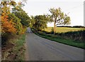 Melton Road towards Holwell