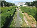 Silvertown: Thames Barrier Park: The Green Dock (2)