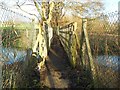 TQ0362 : Addlestone Bourne: Hall's Farm Footbridge by Nigel Cox