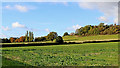 Farmland near Upper Ludstone in Shropshire