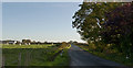 The lane approaching Bibby