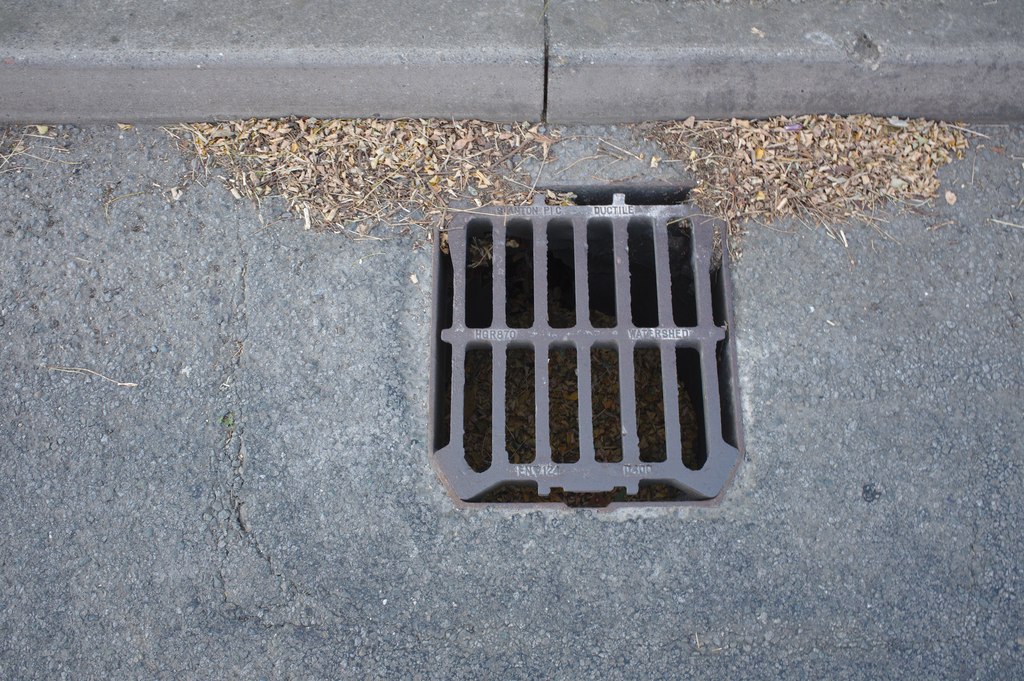 Drain grid © Bob Harvey :: Geograph Britain and Ireland