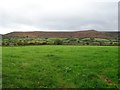 SO1427 : View to Mynydd Llangorse by Philip Halling