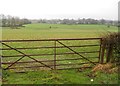 Henfield: Chess Stream valley