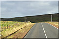 HU4374 : Telegraph Wires Crossing the A968 by David Dixon