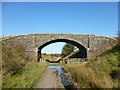 NS8232 : Bridge over dismantled railway near Douglas by Alan O'Dowd